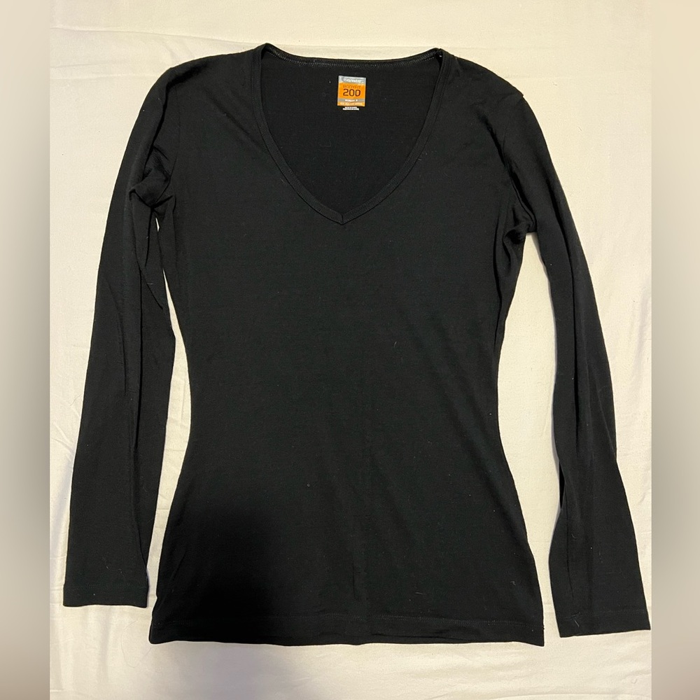 Icebreaker merino body fit small top